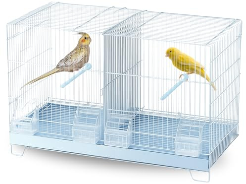 MOLY Cage d'élevage pour oiseaux 58 x 32 x 37 cm | Cage amovible avec base surélevée | Nichoir idéal pour la reproduction et l'élevage de petits oiseaux