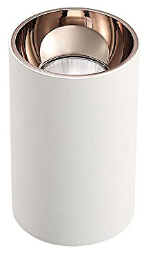 Faretto LED da soffitto, faretto da Superficie, apparecchi di Illuminazione direzionali Moderni da soffitto, faretto da soffitto in Alluminio da 10 W, Illuminazione Moderna per Quadri da Galleria