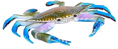 VANZACK 1Stück Kunststoff Realistisches Organismus Modell Dekoration Für Meeresschmuck Und Spielzeugfiguren