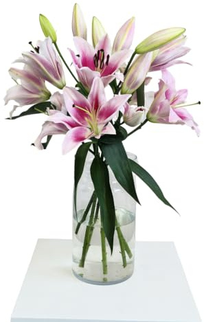 FLORES SOLIDARIAS - Ramos de Flores Naturales Lilium Rosa - Ramo Fresco de Calidad para Regalo, San Valentín, Día de la Madre, Bodas, Aniversarios, Cumpleaños y Decoración del Hogar