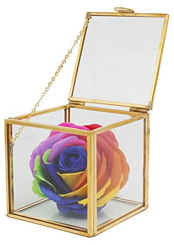 Terrario De Oro, Terrario De Plantas Cuadradas De Vidrio, Jarra Suculenta, Contenedor De Plantas, Jardinera De Aire, Terrarios De Vidrio Para Plantas, Hogar, Jardín, Oficina, Paisaje, Decoración