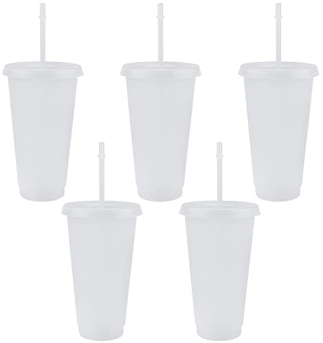 TSLBW 5 Pcs Reusable Plastic Cup Drinkware Tumblers Acrylic Cups with Lids and Straws Bulk Iced Cold Water Coffee Travel Mug Party Tumbler, 710ml Transparent, (bg143)