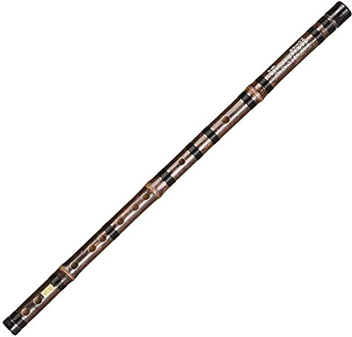 HTian Kinesisk Dizi bambuflöjt musikinstrument vuxen nybörjare professionell prestanda undersökning ton nyckel av C, D, E, F, G (Färg: G)
