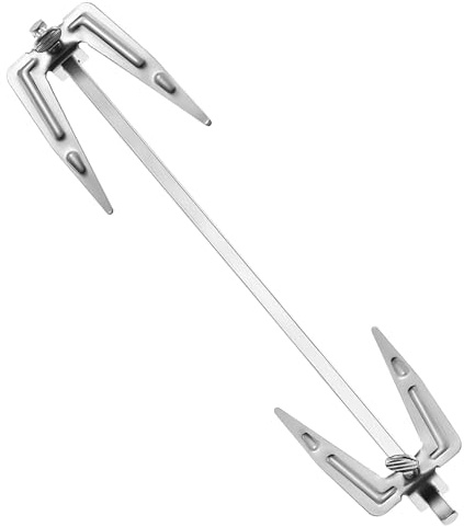 DOITOOL Spiedini Acciaio Inox per Barbecue, Forchette Resistenti e Antiruggine da 25cm, per Girarrosto e Feste Bbq in Casa