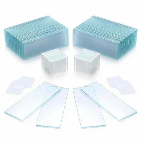 QWORK® 100 portaobjetos de 76x25 mm y 200 cubreobjetos de 18x18 mm, bordes esmerilados