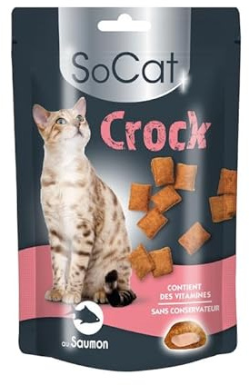 Riga - SoCat Crock Au Saumon - Friandises pour Chat - Biscuit Croquant Au Coeur Crémeux - Riche en Vitamines - sans Conservateur - Récompense Idéale - 60 g
