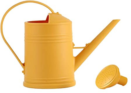 LOVIVER Annaffiatoio da 2 Litri con Testina Spray Staccabile Attrezzi da Giardino Portatili di Grande capacità Vaso Decorativo Smerigliato Pratico per la casa, Giallo