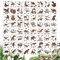 MWOOT 64 Stück Dinosaurier Schablonen Stencils Set, Wiederverwendbares Malerei Vorlage Bemalen, DIY Dinosaur Schablone zum Malen an Wand, Geschenkkarte, Kleidung, Steine Dekoration (7.6x7.6cm)