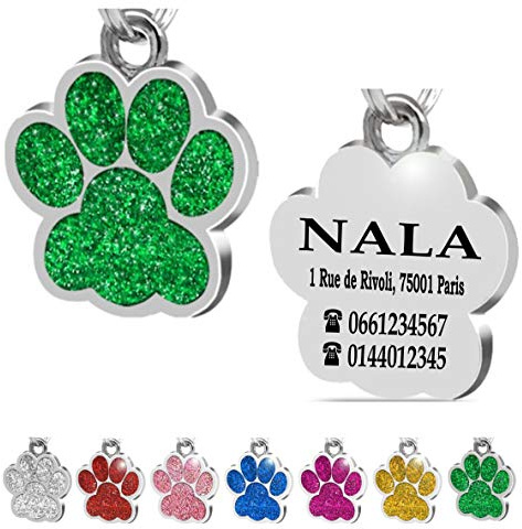 Ibera Gifts - Médaille Chien avec Gravure en Forme de Patte, Médaille pour Animaux de Petite et Moyenne Taille, Médaille Chien Gravée, Médaille Chat avec Gravure (Vert)