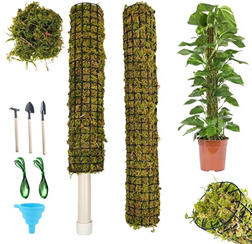 FLY FREE Estacas Musgo Monstera | Soporte para Plantas Trepadoras | Palos de Musgo para Plantas en Maceta | Mossy Green with PVC