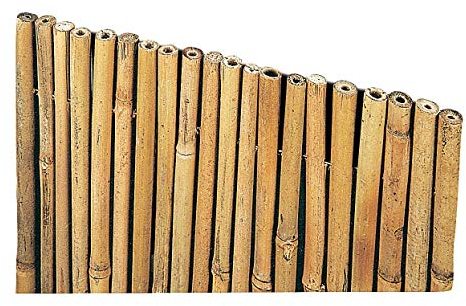 Arella Canniccio in Bamboo con canne spesse 10-30mm copertura da giardino | Canna Passante Frangivista ombra | Stuoia Cannucciata Frangisole | Recinzione ombra in bambù esterno | Dimensioni 100x300 cm