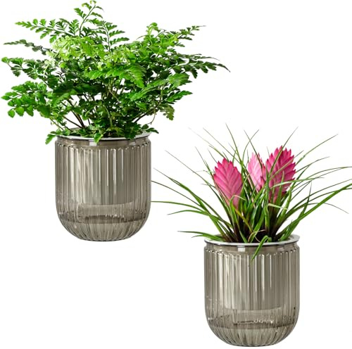Josteve Vasi per piante autoirriganti per interni, 11,8 cm, confezione da 2, in plastica, per orchidee, piante da giardino, per erbe, piante da appartamento, violette africane, fioriera visibile a