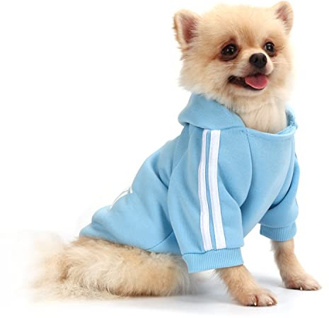 QiCheng & LYS Vêtement Chihuahua, Jupe, Pull et Manteau pour Petit Chien, Taille Petite (Blau, Small)