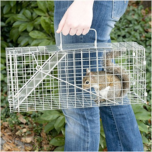 Large Humane Rat Trap Cage Live Animal Catcher Mouse Pest Rodent Control Bait Catch No Kill No Pollution, Indoor Outdoor Garden Kitchen Use for Rabbits, Cats and Similar Sized Wildlife, Easy to Setup