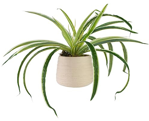 Northlight Artificial Spider Plant in Beige Ceramic Pot - 20
