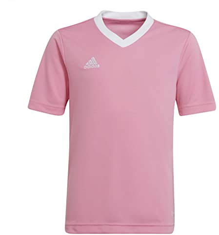 adidas Unisex Kinder Entrada 22 Jersey, Semi Pink Glow, 15-16 Years