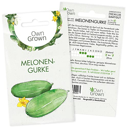Mini Gurken Samen: 5 Snackgurken Samen für die Melonengurke Carosello – Samen Gemüse für Gurken Pflanzen – Gurken Saatgut – Gemüse Samen OwnGrown