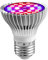 Lampe de Croissance LED à Spectre Complet 30W, pour Plantes D'intérieur Légumes et Feurs, E27 Ampoule LED pour Serre Hydroponique, Durable et Haute Efficacité