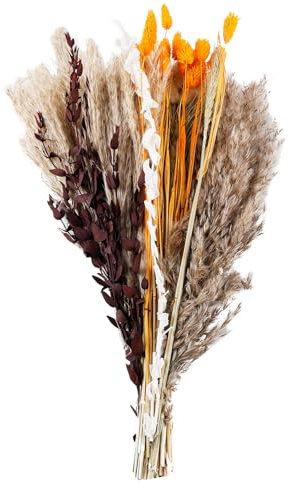 Pampasgras Getrocknet 64 Stück Boho Pampas Gras Trockenblumen Natürliche Schilfblume Getrocknete Eukalyptus Hasenschwänze Blumenstrauß Pampasgras Deko für Wohnzimmer-Schlafzimmer Vasen