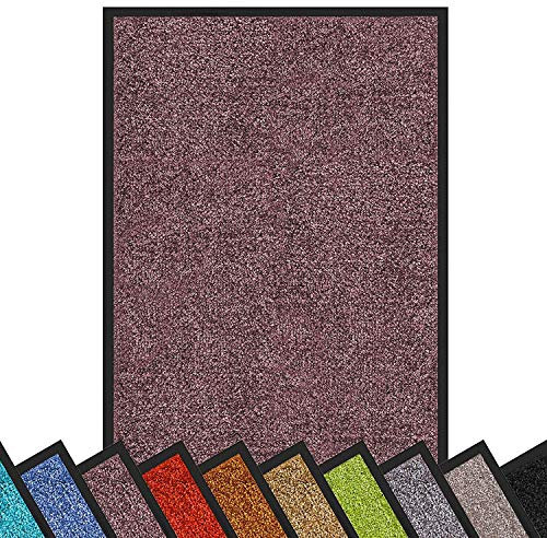 etm Dirt Trapper Door Mat Entrance Mat Rhine (Purple, 40 x 60 cm) Indoor & Outdoor Doormat, Washable Front Door Mat Non-Slip Backing Super Absorbent Floor Mat Entrance Rug Barrier Mat