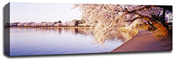 Tidal Basin - Flowers - 36x12 Gallery Wrapped Canvas Wall Art