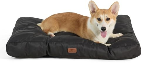 BEDSURE Hundekissen kleine Hunde waschbar - 76x50cm Hundebett wasserdicht M für kleine, mittelgroße Hunde gepolstert Hundematte tiefschwarz in 10cm Höhe