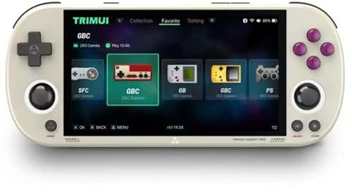 Trimui Smart Pro Handheld Game Console 4.96''IPS Screen Linux System Joystick RGB Lighting Smartpro Retro Video Game Player (Grey) (128 GB)