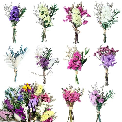 RXKFIGX Mini Dried Flower Bouquet 10PCS Dried Flower Bouquet, Don't Forget Me Flower Bouquets, Natural Dried Flowers for DIY Craft Card Decoration Home Wedding Decor Photo Props Present Decor