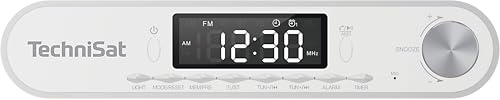 TechniSat Viola - Radio de cocina con FM/FM, pantalla LED, temporizador, Bluetooth, despertador, manos libres, altavoz de 5 W