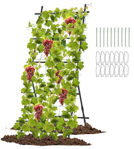 COSTWAY Treillis de Jardin pour Plantes Grimpantes à Cadre en ‘A’ avec Filet, Support Vertical pour Plantes avec Poteaux Métalliques Recouverts de Plastique, pour Fleur Vigne Légumes