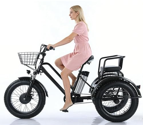 WEIMILOR Bici elettrica da carico con Pneumatici Larghi da 20'' e Cestino, Bici da Crociera a 3 Ruote da 20'', 7 velocità, Telaio in Acciaio al Carbonio, tricicli per Uomo, Donna e Allenamento