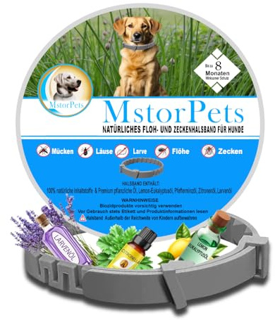 MstorPets | 100% Natürliches Flohhalsband ohne Chemie | Zeckenhalsband klein, & groß | Wasserdicht Größenverstellbar bis 8 Monate Zeckenschutz für Hunde | Anti Floh Hunde Katze [Grau]