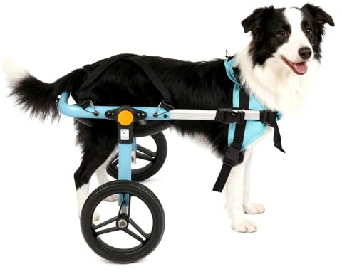 TailWaggers Medium Dog Wheelchair for Back Legs | Adjustable Mobility Aid | All-Terrain Wheels| for Pets that fit a Border Collie,Golden Retriever Dog's Size