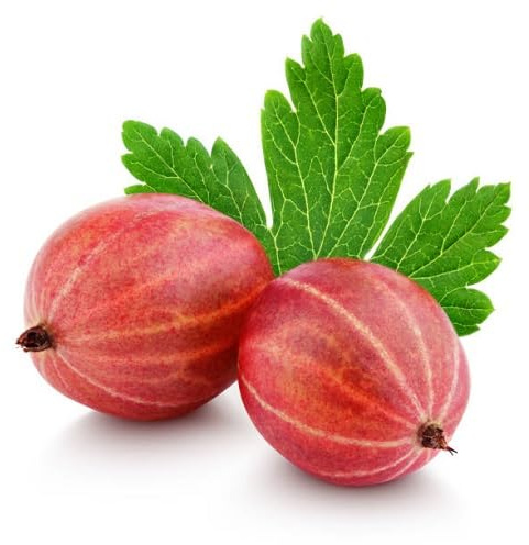 40 semi freschi di uva spina rossa