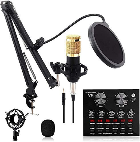 HMTE Microfono da Studio, Scheda Audio, Kit Microfono, Compatibile con PC/Laptop/Tablet/Telefono/PS4, Microfono per Streaming/Canto/Gioco/Video di Youtube