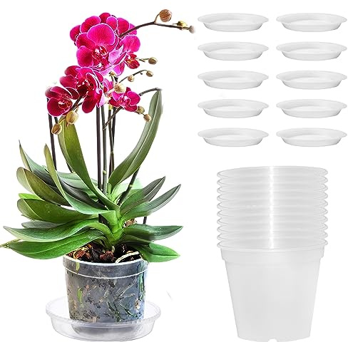 Pizsieat Paket med 10 orkidékrukor, transparenta, orkidékrukor, 11,5 cm, plastkrukor med dräneringshål/underlägg för inomhus, utomhus, balkong, skrivbord