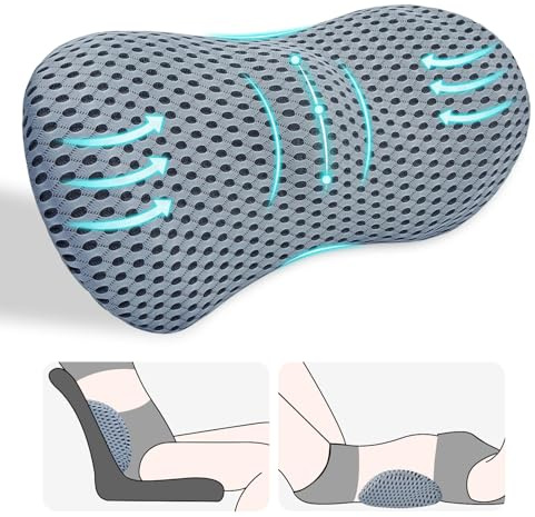 LeKuni Cuscino lombare per auto e sedia da ufficio, cuscino posteriore per alleviare il dolore lombare, seggiolino auto ergonomico, poltrona reclinabile e letto (grigio)