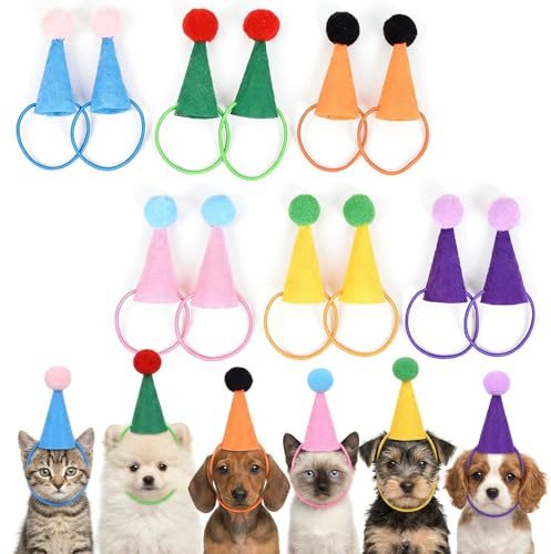 NiceNaiils 12 pcs sombreros de fiesta de cumpleaños, sombreros de fiesta con cono, DIY sombrero de papel, para Fiestas de Cumpleaños de Niños y Niñas