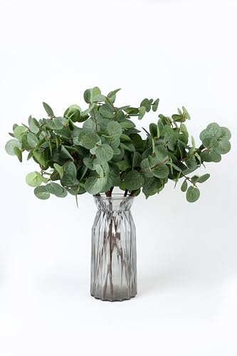 NeoL'artes 6 Piezas Tallos de Eucalipto Artificial Flexibles de 26 pulgadas (66 cm), Ramas de Hojas Sintéticas, Eucalipto de Seda Artificial para Decoración del Hogar en Primavera, Verano y Festivales