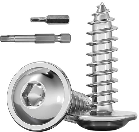 Dayalo 50 stycken träskruvar M4 x 10 mm, rostfria skruvar, trä, självgängande skruvar, rostfritt stål A2 V2A, linshuvudskruvar, trä med skruvmejsel, bit för möbelinstallation