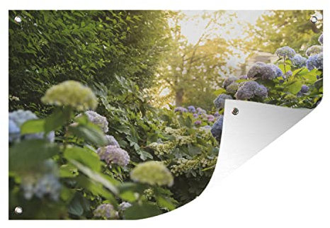 MuchoWow Poster exterieur Hortensias jaunes dans le jardin Decoration murale 120x80 cm Résistant aux intempéries/soleil