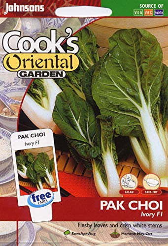 Portal Cool Johnsons Semi - Confezione pittorica - Vegetale - Pak Choi Ivory F1-175 Semi