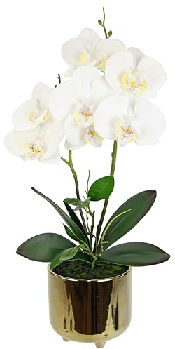 Konstgjord blomma fjärilsorkidé med blad och luftrötter i kruka av keramik konstgjord blomma konst orkidé phalaenopsis med ytterkruka konstgjord växt bröllop dekoration sidenblomma äkta touch blomma
