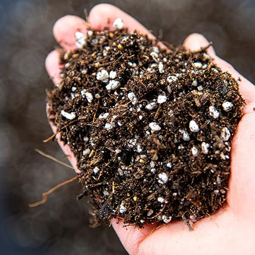 Carnivorous Plant Potting Mix – Premium Venus Flytrap, Pitcher Plant and Sundew Substrate with Perlite, Coco Coir and Leca for Healthy Growth and Strong Root Development (50L)