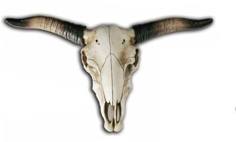 Generisch Bison-Schädel Großer Deko-Skull Big Longhorn Wanddekoration