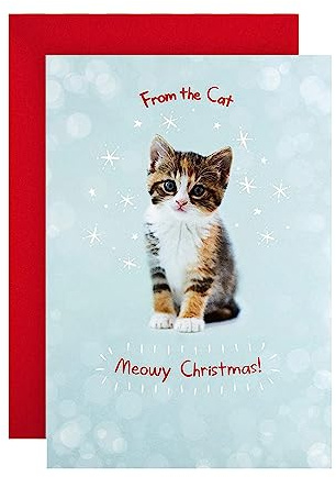 Hallmark RSPCA Carte de Noël Motif chat