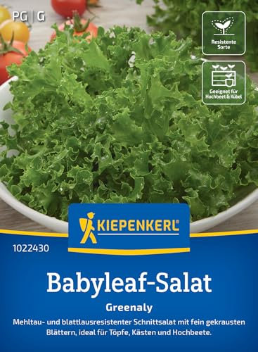 Kiepenkerl Babyleaf-Salatsamen Greenaly 1022430 – Saatgut für den perfekten Schnittsalat mit fein gekrausten Blättern, ideal für Töpfe, Kästen und Hochbeete.