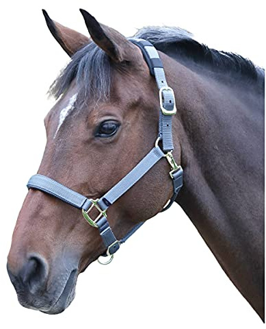 Shires Topaz - Cabestro de nailon para pony/caballo - Gris XXS Pony