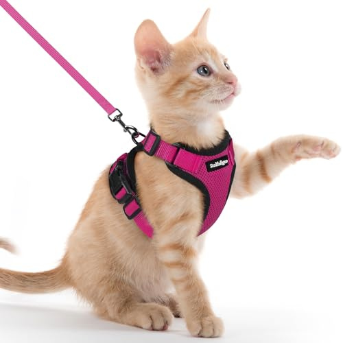 rabbitgoo Harnais Chat Anti évasion avec Laisse Rose Rouge XXS, Harnais Chaton Petit Chien Réglable, Collier Harnais et Laisses pour Chat Refléchissant Attache Dessus Gilet Respirant pour Lapin Chiot