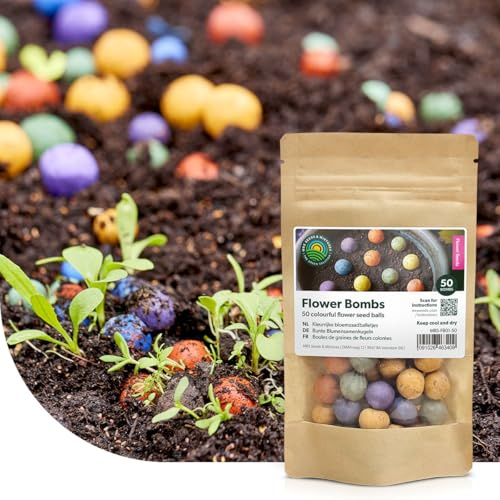 MRS Flower Bombs : 50x Bombes de graines ‘’Originals’’ - Graines 100% biologiques - Bombes de fleurs sauvages - Colorées et joyeuses - Fabriquées à la main avec amour - Un joli cadeau à offrir !